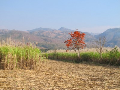 campagne-inle1