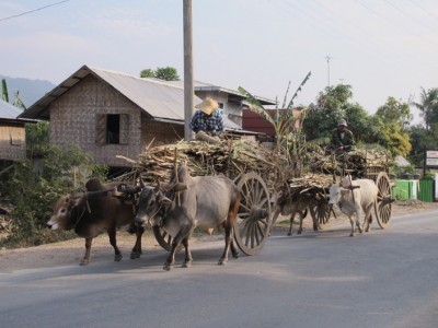 campagne-inle2