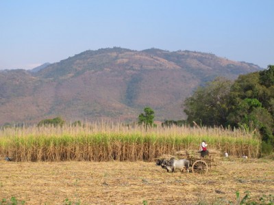 campagne-inle7